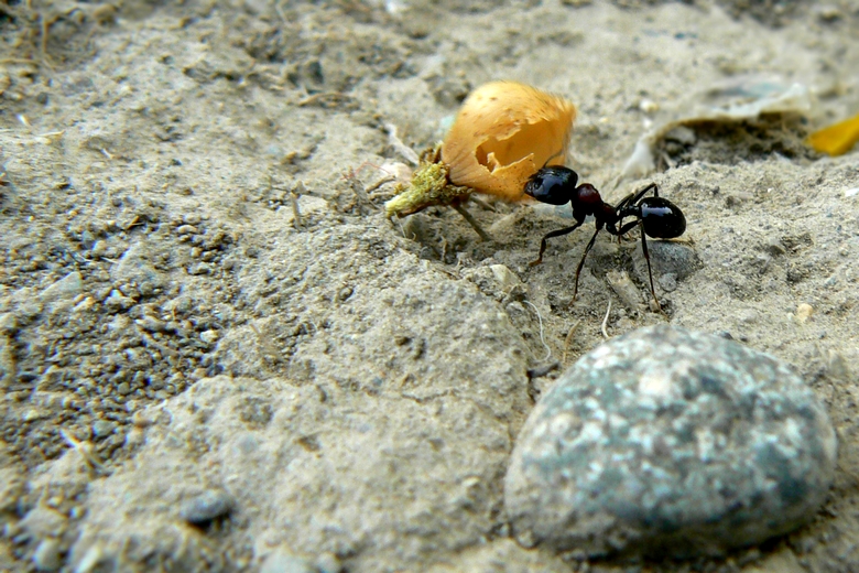 [عکس: 1407601.jpg]
