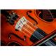 violin
