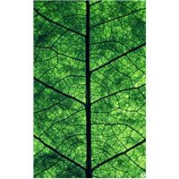 نزديکتر بنگر