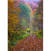 نقاشي طبيعت