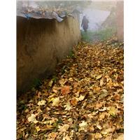 کوچه هاي زندگي