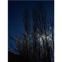 ااااا    ااااا