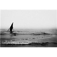 از مجموعه موجود دو پا