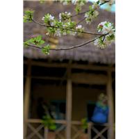 lllll          lllll