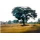 به خودم نمي رسم