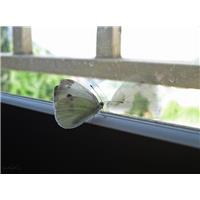 چه بگويم از دل تنگ!