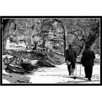 پیش به سوی ابدیت