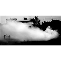 باد همه چیزم را برد