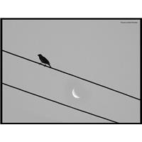 Above The Moon"s Way