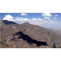 گرگ كوهستان