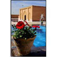 حیاط بابا رکن 