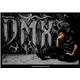 DMX Fan