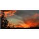 lovely sunset