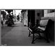 Loneliness