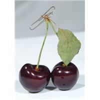 بدون نياز به شرح ۱