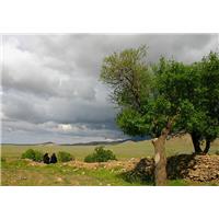 dar agoshe tabiyat