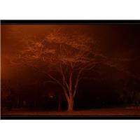 سرد و تاریک