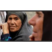 من درد بوده ام همه