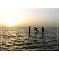دل به دریا