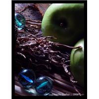 از مجموعه سیب"