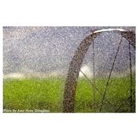 قطرات جان بخش