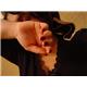 hand