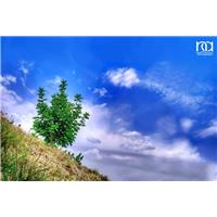 به رنگ آرامش...